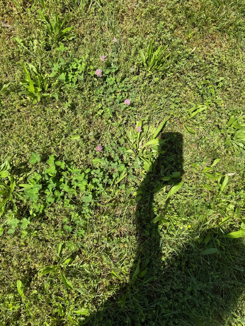 Good morning believers and dreamers 