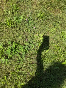 Good morning believers and dreamers