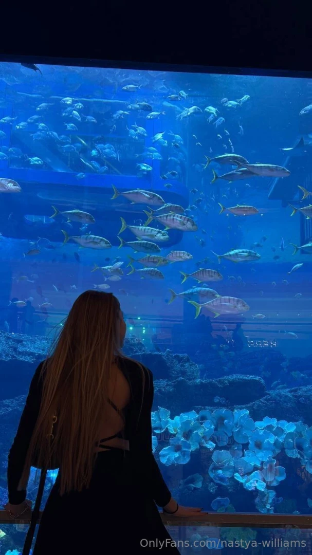 I m looking for a goldfish that fulfills my 3 wishes 