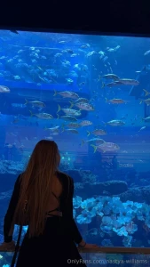 I m looking for a goldfish that fulfills my 3 wishes