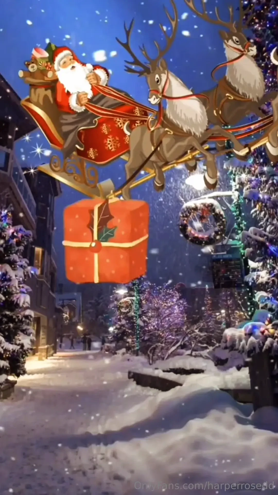 Let the hoeliday festivities begin 