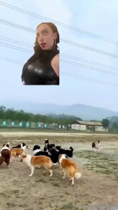 Honkiana part 1