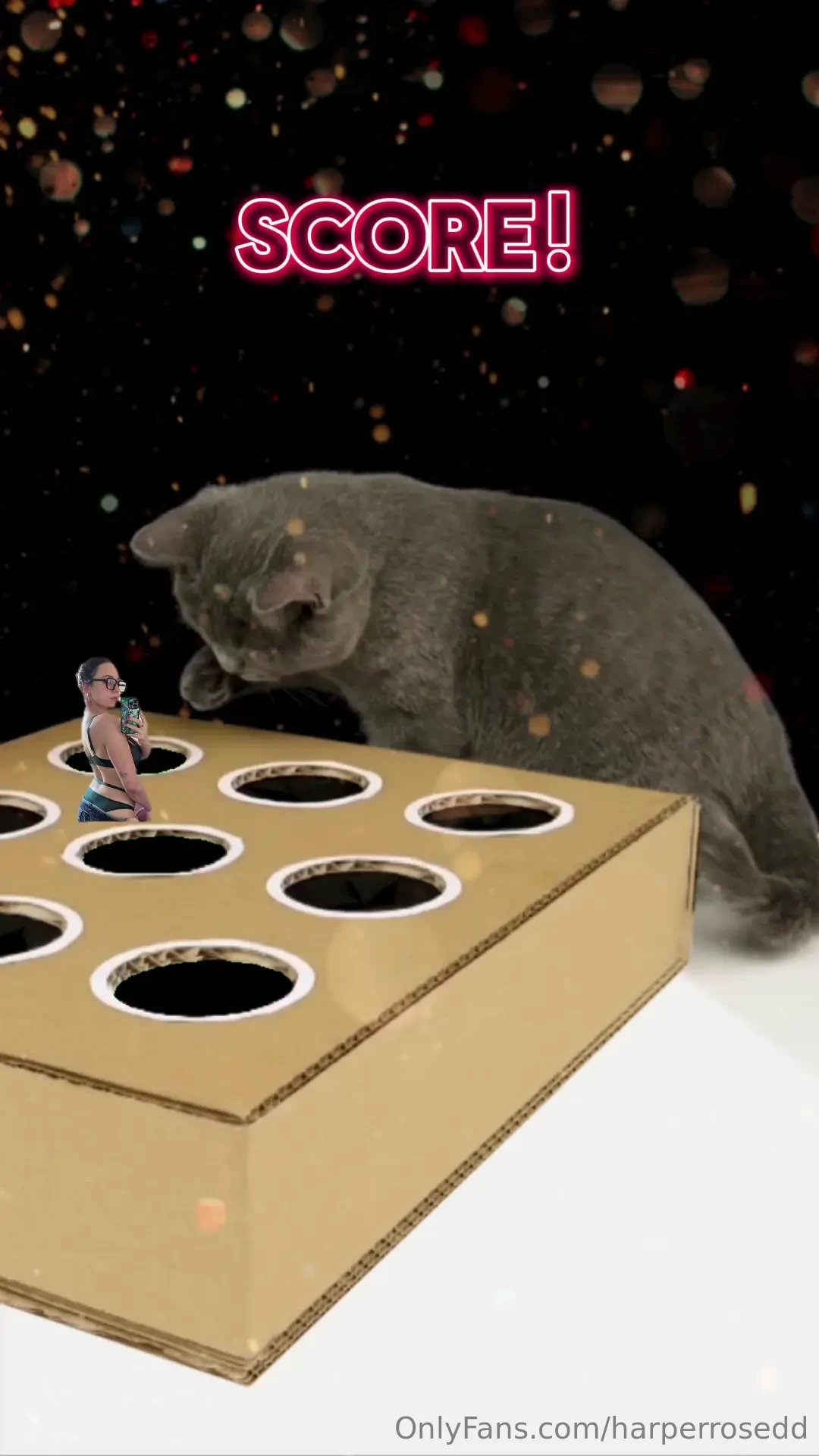 Going live tmw at 7 pm pst 