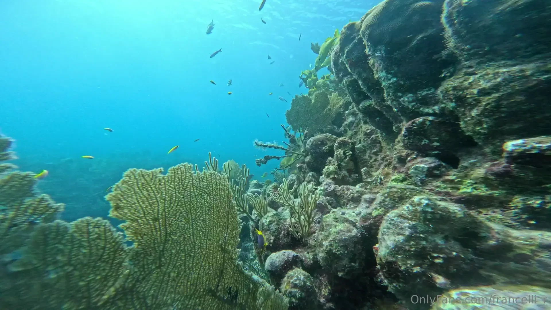 -espa ol hola fans les hice este genial video especial para ustedes ya 