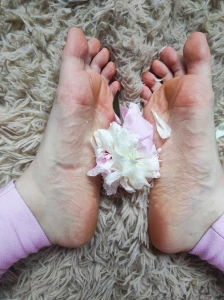 Soft petals amp soft soles there s something magical about the touch part 7
