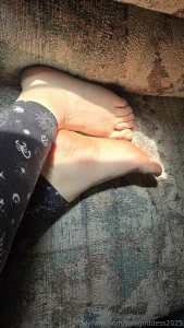 Really enjoyed the perfect lighting from the sunlight part 1