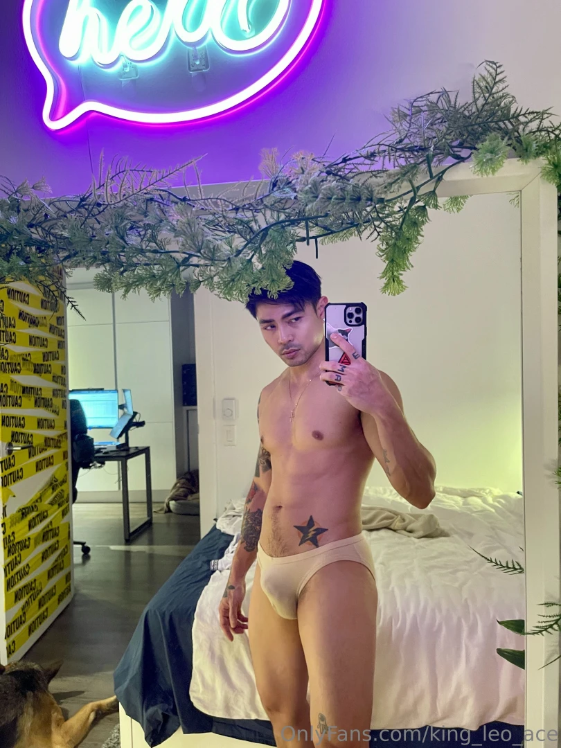 King-leo-ace part 2 