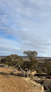 Road trip day 4 today was such a fun day i went sight seeing in