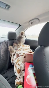 Road trip day 2 complete was a very uneventful day today - i drove