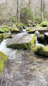 Okay summer needs to cum fast i m over the cold being outside is my