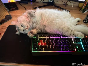 Hairy pussy part 52