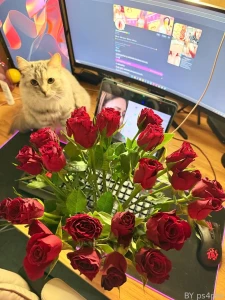 Look what a lovely surprise kingtroll101 sent me a bouquet of gorgeous