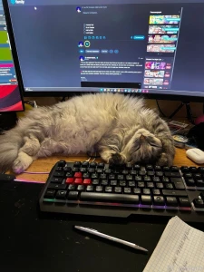 Meet eva my muse assistant and keyboard blocker she s always here when