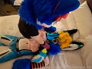 And that is a wrap this is the final photos taken from the tff part 15