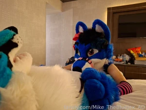 Some more fursuit bedroom photos from the tff photoshoot with part 21