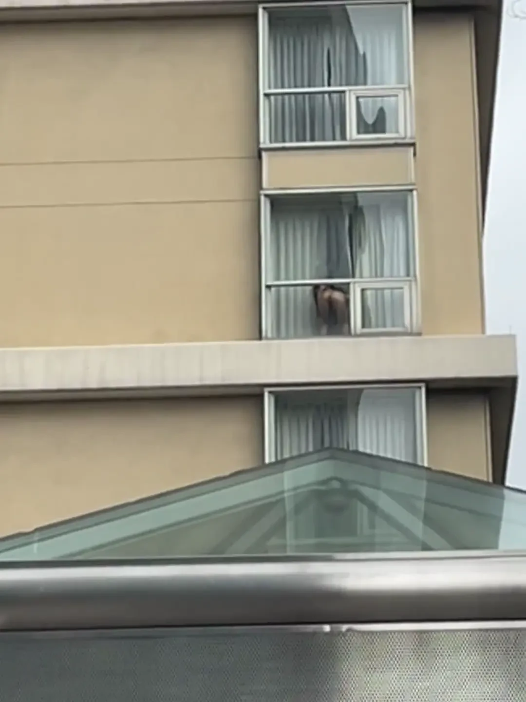 I can t take iris anywhere 