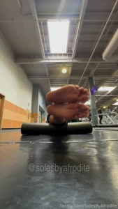 Got a good lift in today