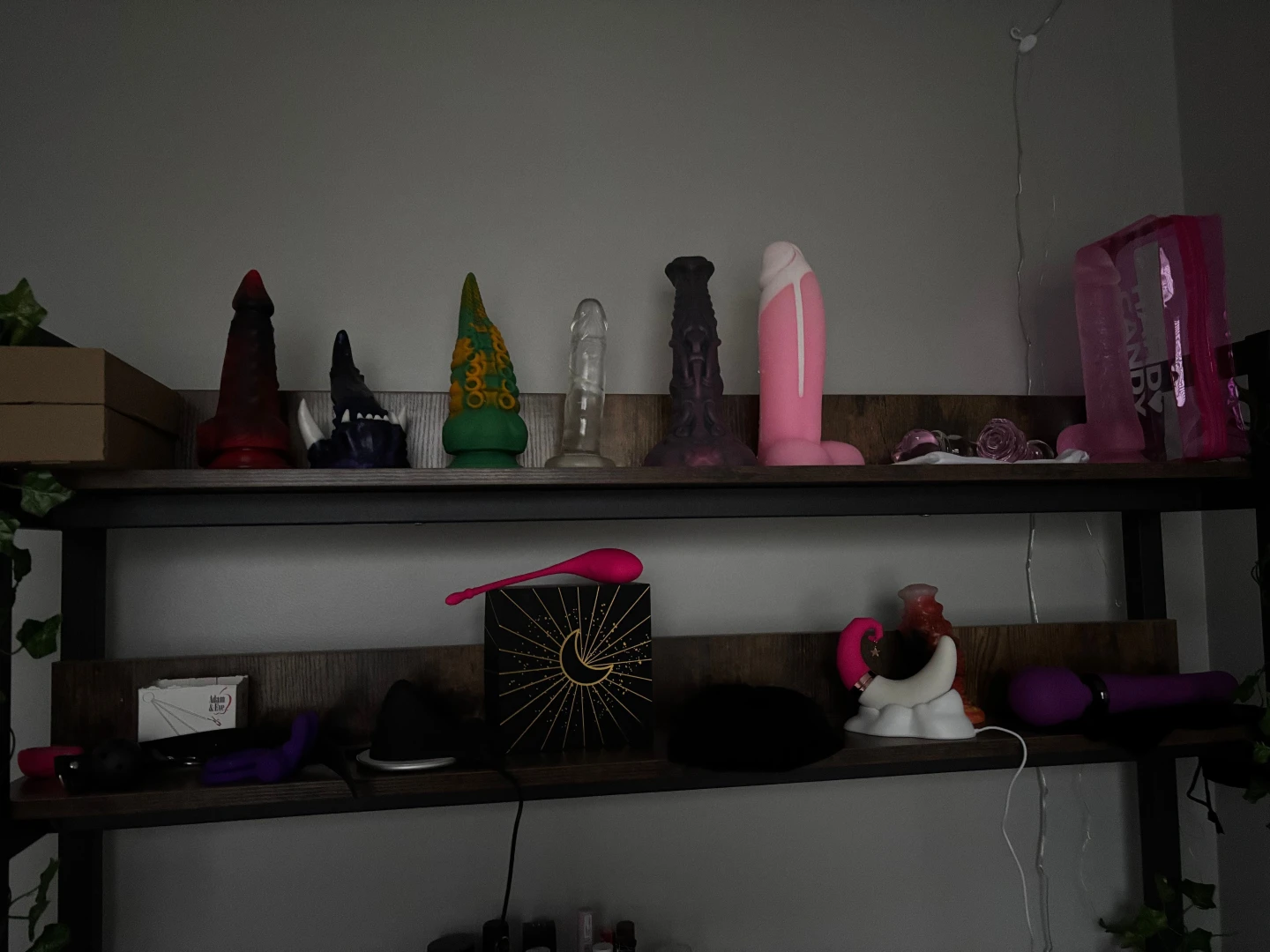 Anyone who d like to buy me more toys gets exclusive only for your 