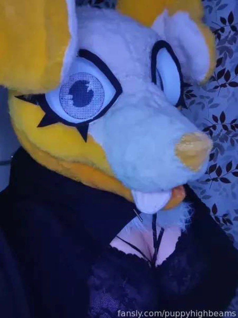 Puppy girl highbeams locks eyes with you what do you do 00 