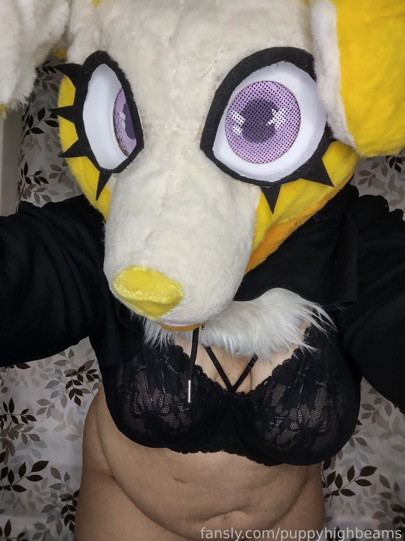 Finally back to some fun posting 