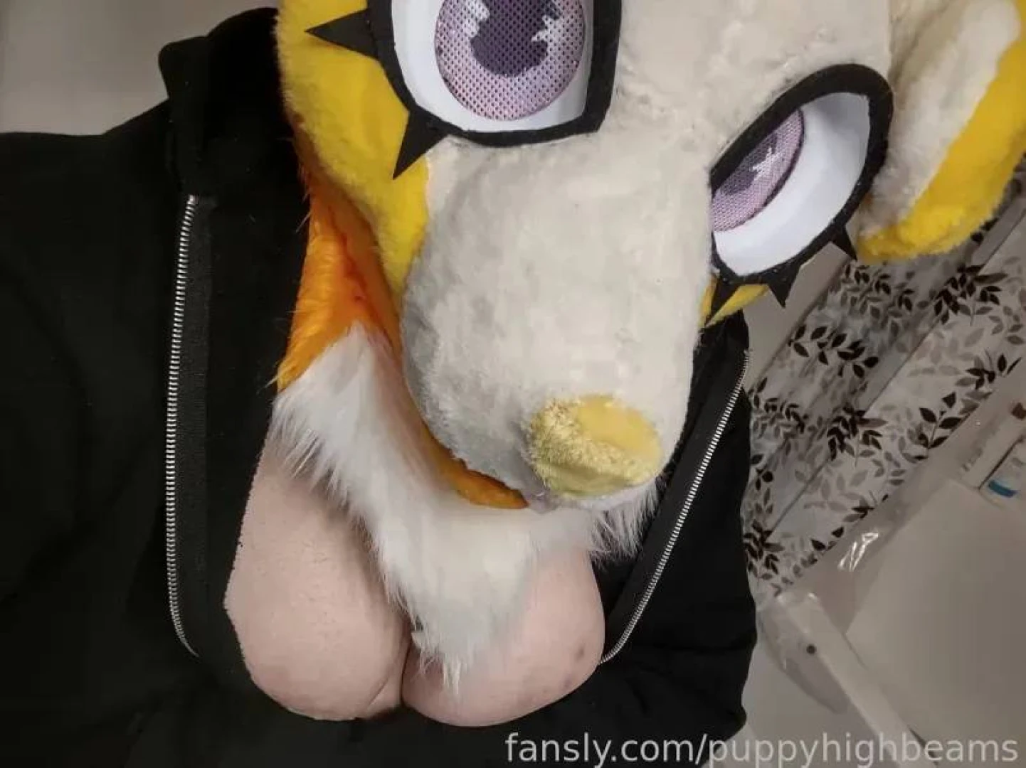 A bred puppy is a happy puppy 