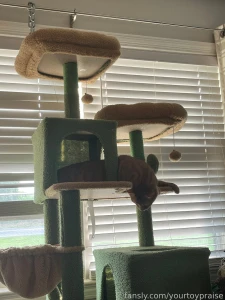 I thought yall would like to see part of what im spending my first