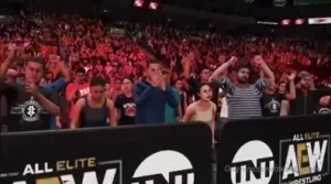 Who ever did this had my wrestling style spot on brilliant