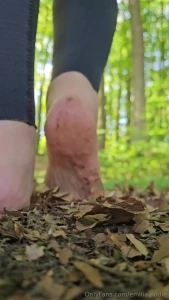 Enjoy a bit of nature forest air and asmr to start the weekend