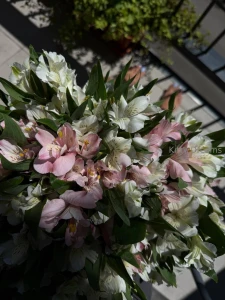 My birthday was just a few days ago a lot of people congratulated me part 3