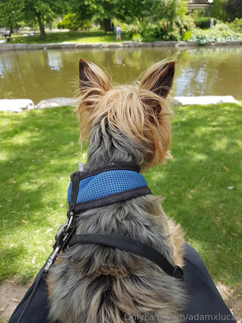 Teddy dog you will always be my best friend we will always be together part 29 