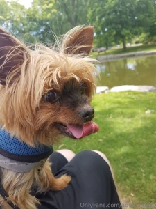 Teddy dog you will always be my best friend we will always be together part 25