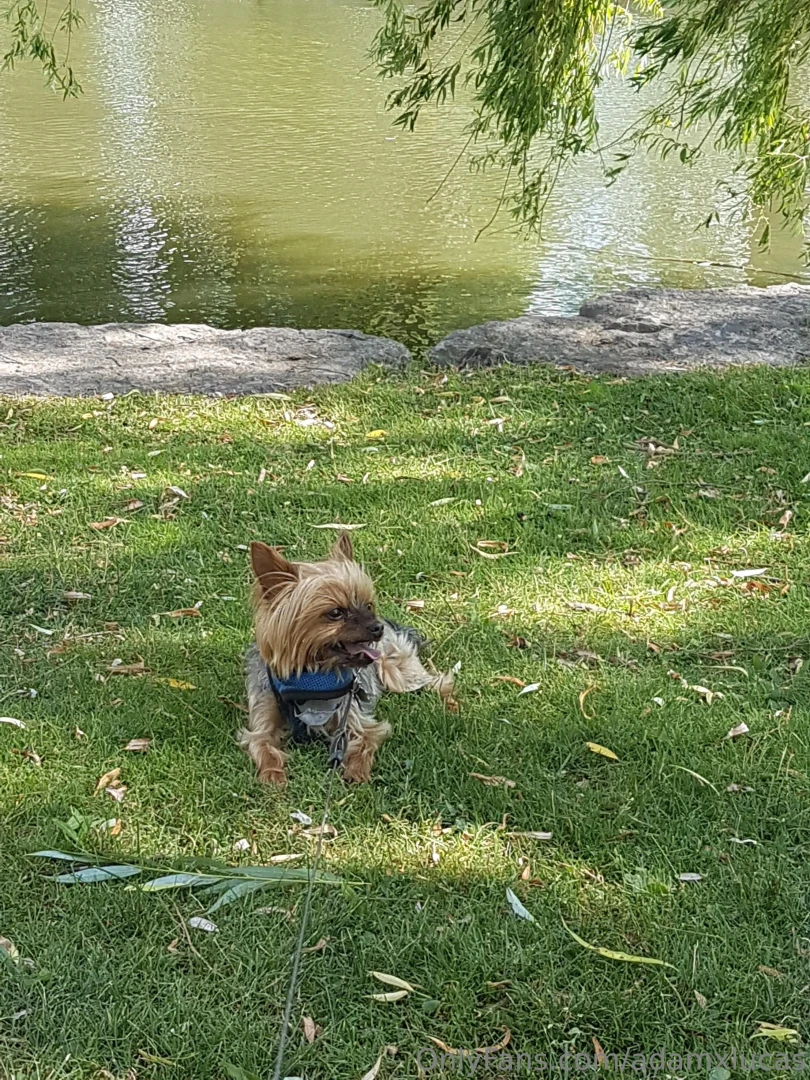 Teddy dog you will always be my best friend we will always be together part 2 