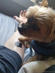 Teddy dog you will always be my best friend we will always be together part 14