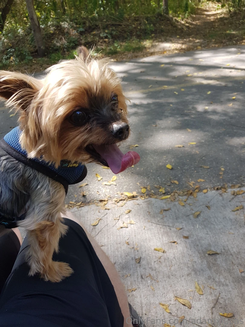 Teddy dog you will always be my best friend we will always be together part 5 