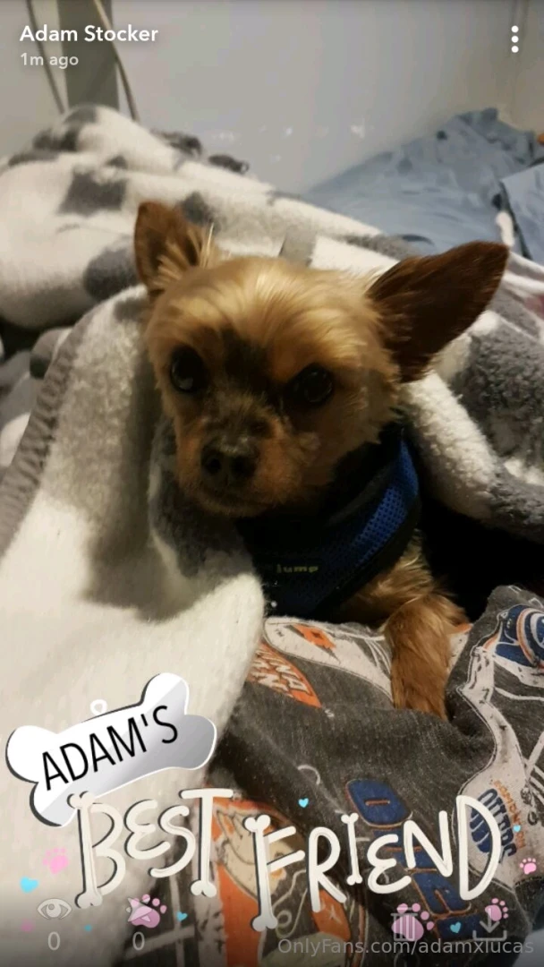 Teddy dog you will always be my best friend we will always be together part 4 