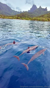 The beauty of moorea travelbuddies