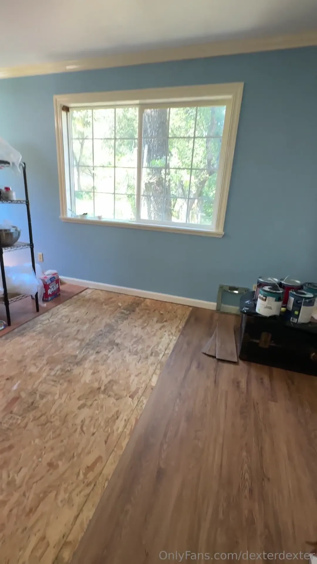 Been cranking out some work the past few days new floors painted walls 