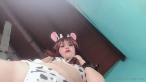 Vaquita part 6