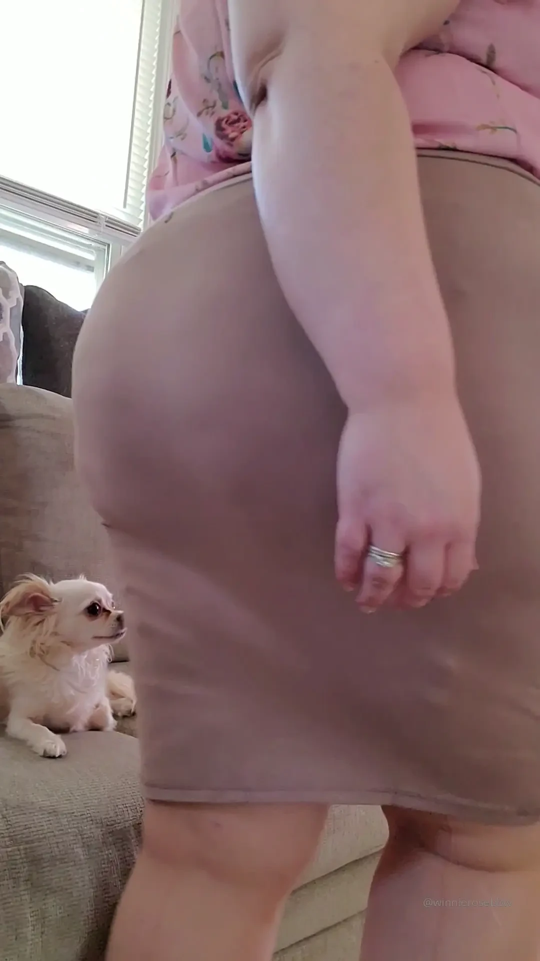 Little peak at my teacher costume 