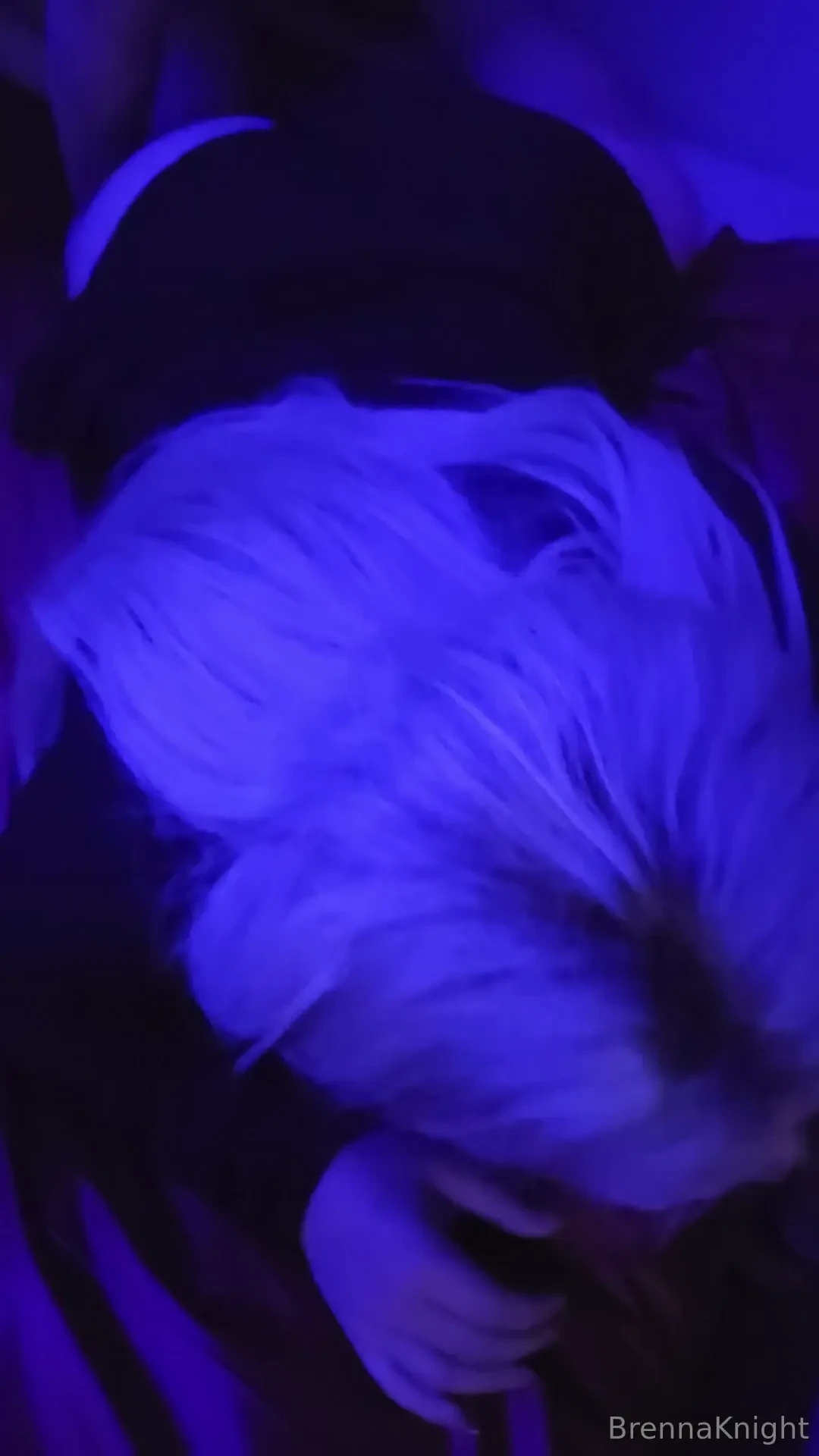 Quick little bonus clip sucking getting into position and being a 