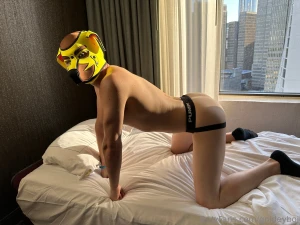 Who s a good boy it s me some tasty shots from fwa 2024