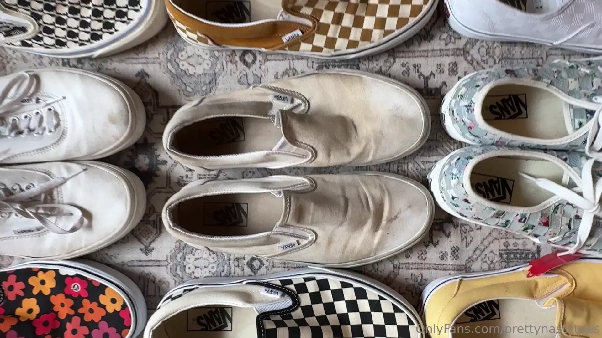 Vans collection tour 