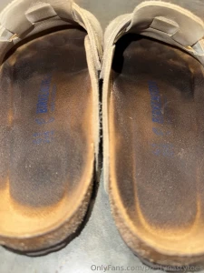Super up close pov of my newer bostons i can t believe they look like part 2