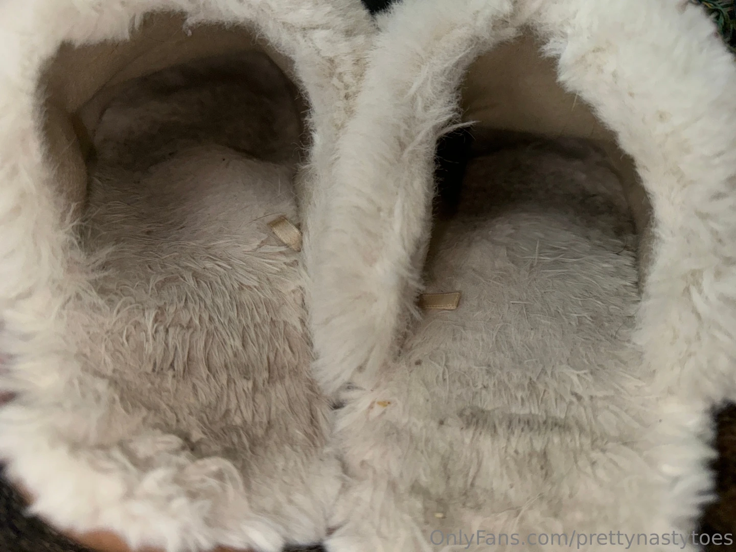 Old slippers they could make a perfect home for some of yall part 4 