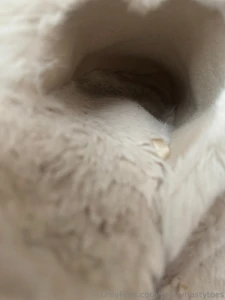 Old slippers they could make a perfect home for some of yall part 3