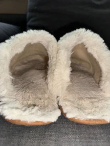 Old slippers they could make a perfect home for some of yall part 2