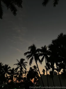 Gattouz0 loves to wear my ass out he always leaves me ruined and sore part 1