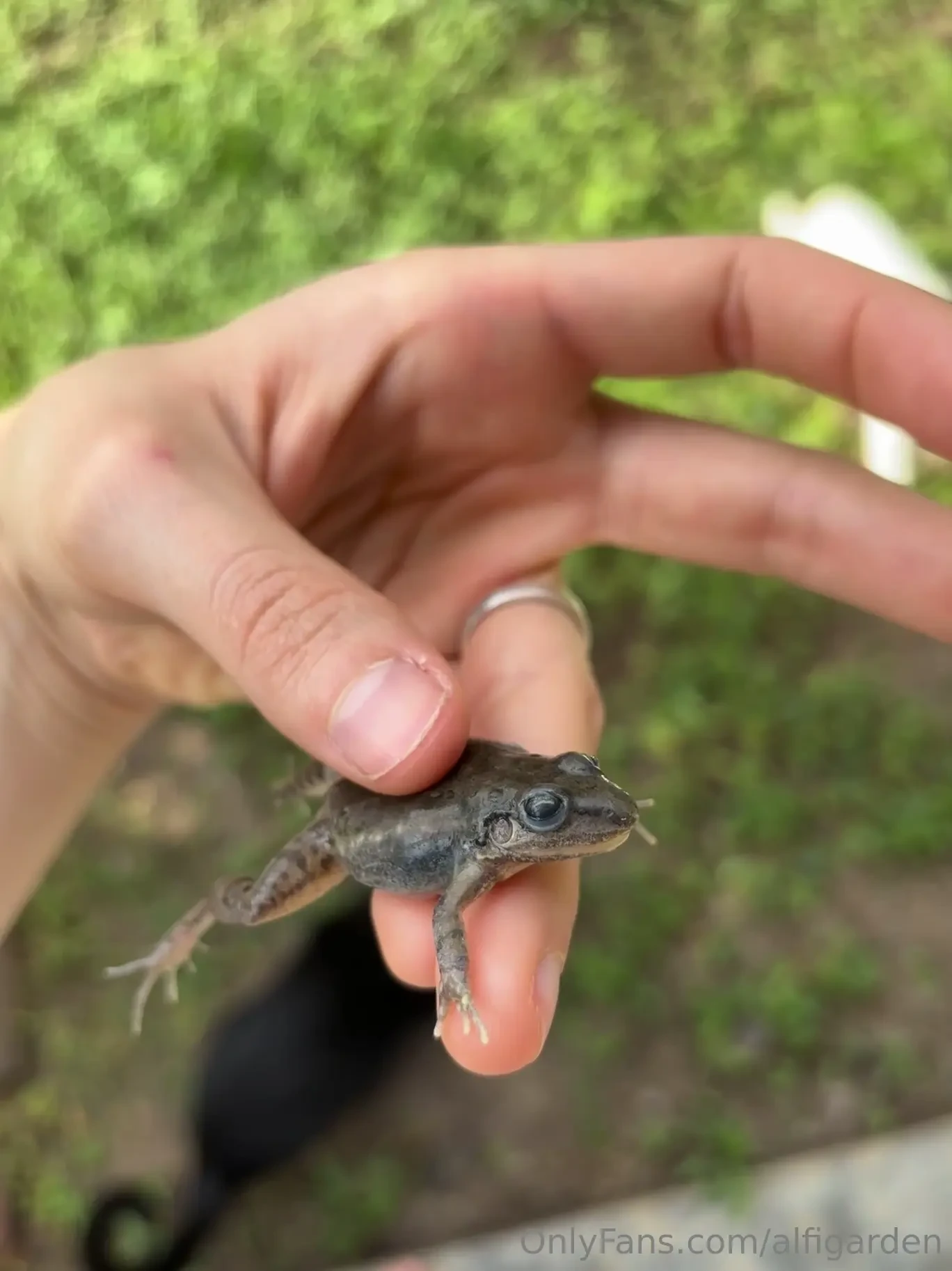 Hellooo sorry for dissapeared all this i don t know how much time i part 1 