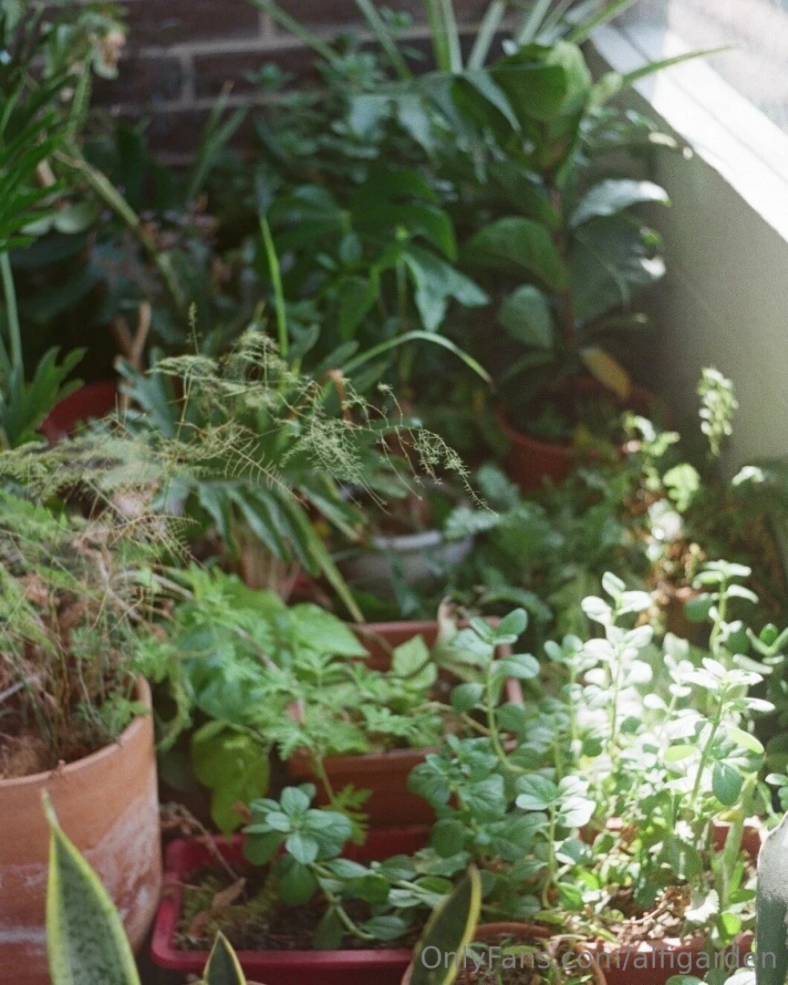 Some analogous a season of moving my soul divides and waits in the part 2 