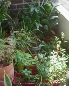 Some analogous a season of moving my soul divides and waits in the part 2